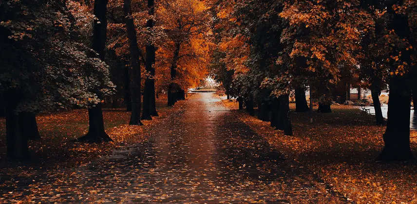 Premium Autumn Escapes: Where to Travel in September 2026 